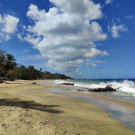 Queen Angel Suite. Stunning Apartment On Grafton Beach With Direct Beach Access Black Rock Ngoại thất bức ảnh